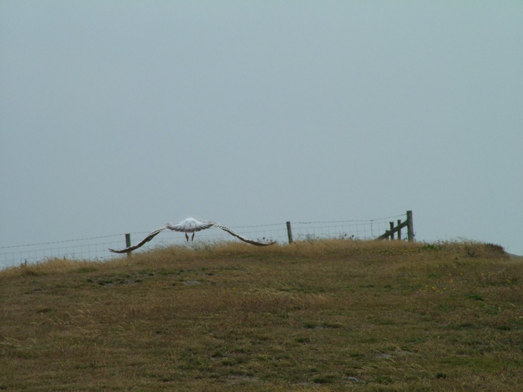 Click now to see this image full size.