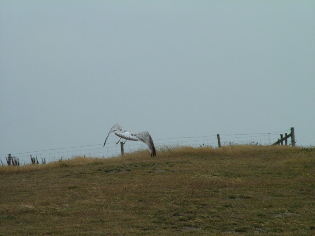 Click now to see this image full size.