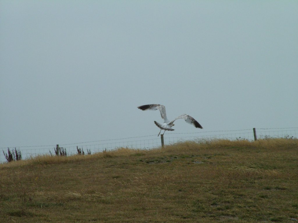 Click now to see this image full size.