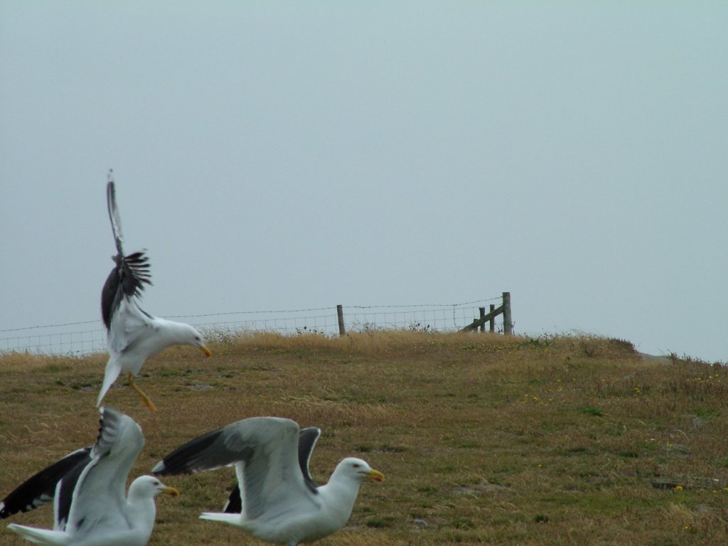 Click now to see this image full size.