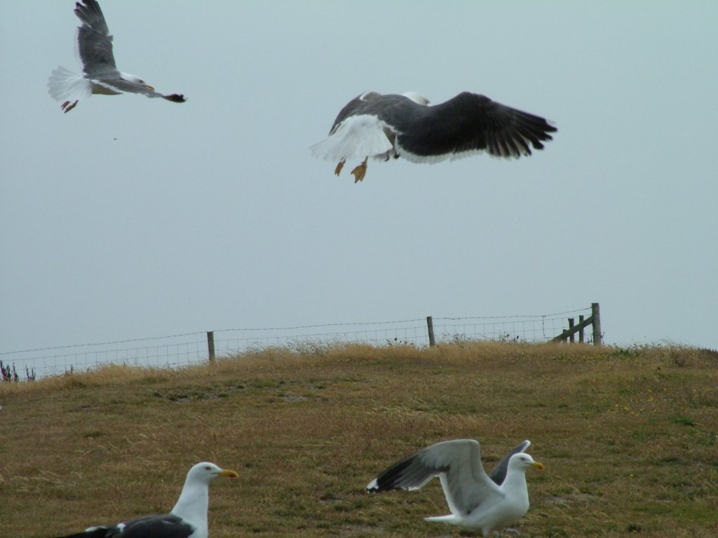 Click now to see this image full size.