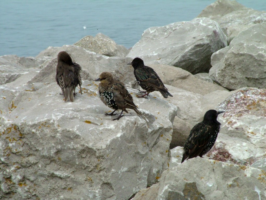 Click now to see this image full size.