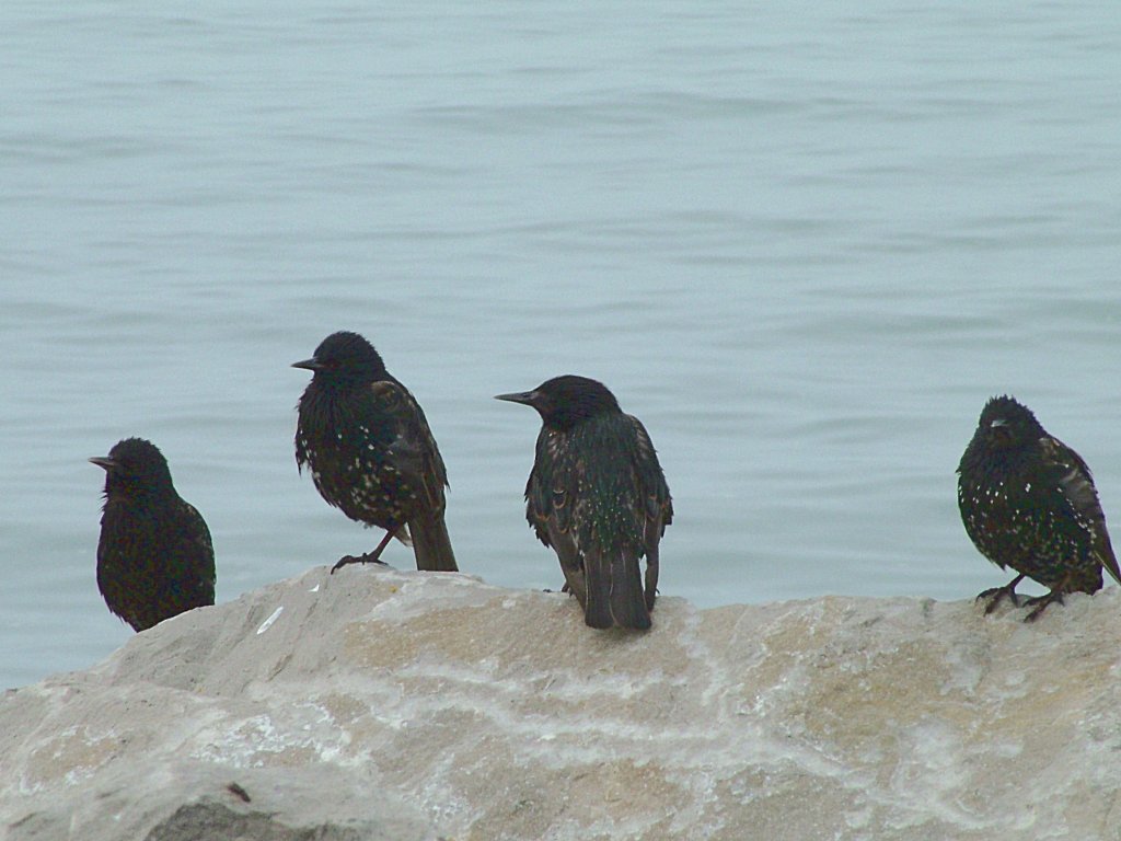 Click now to see this image full size.