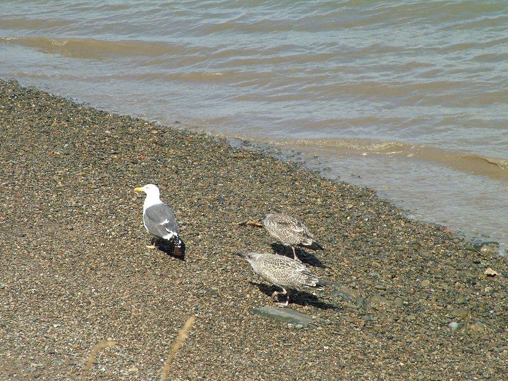 Click now to see this image full size.