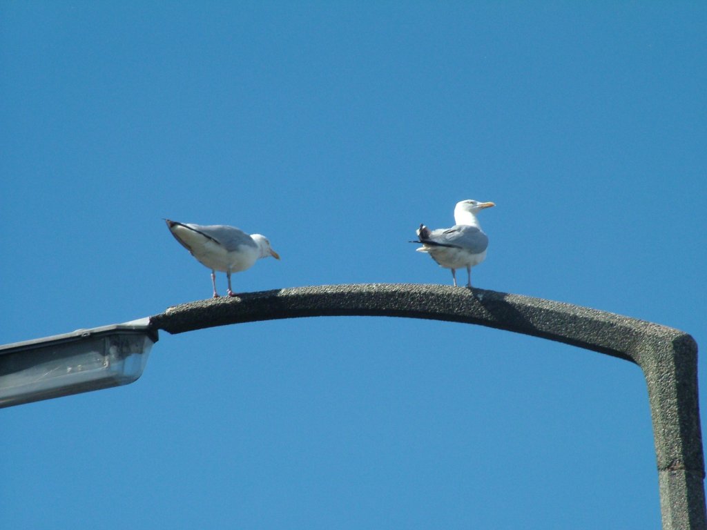 Click now to see this image full size.