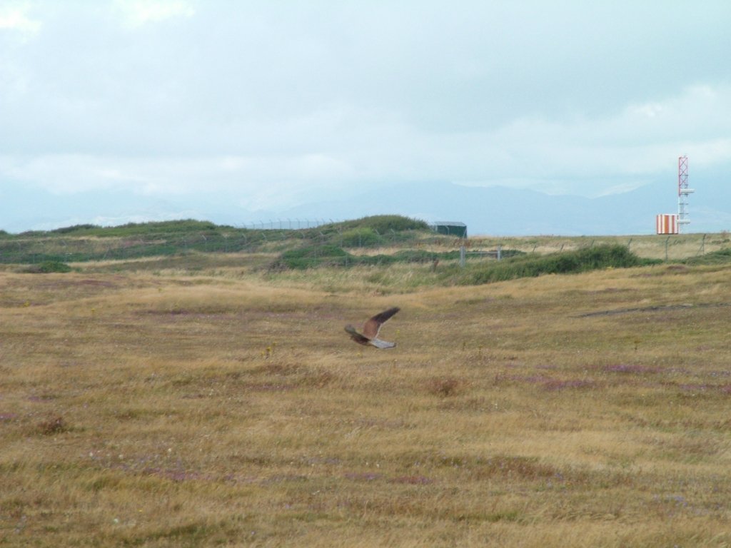 Click now to see this image full size.