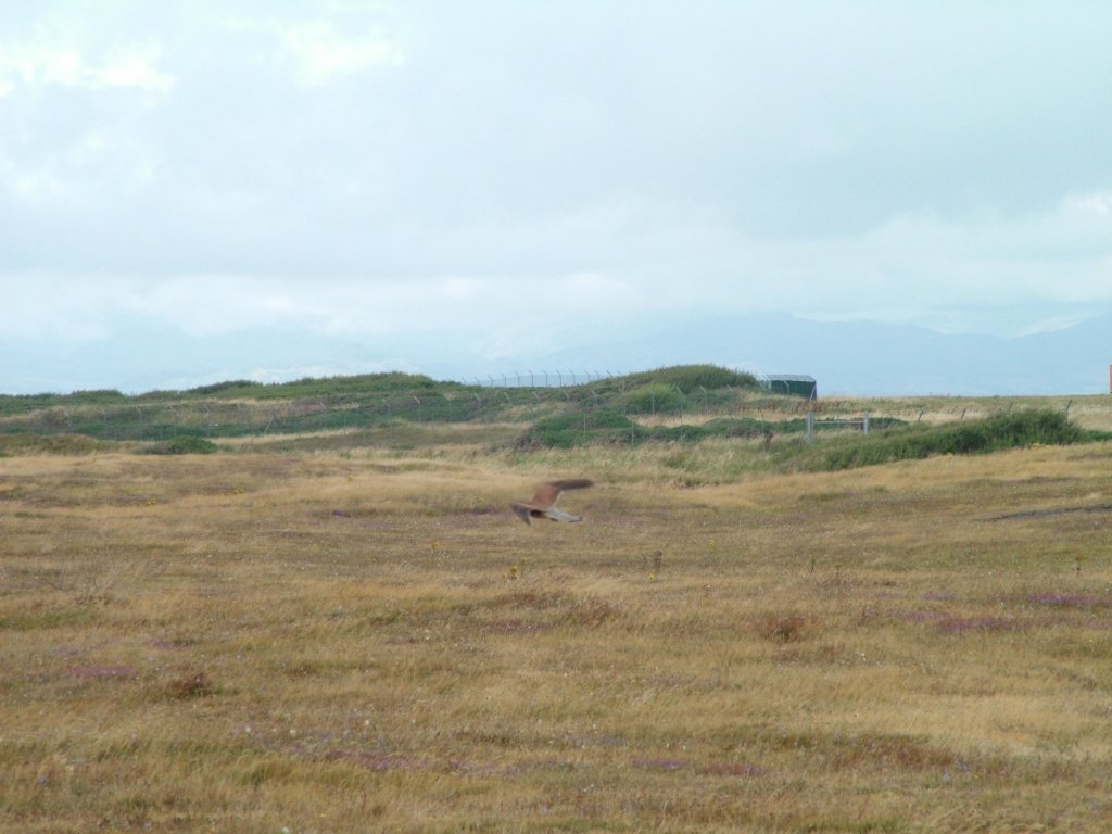 Click now to see this image full size.