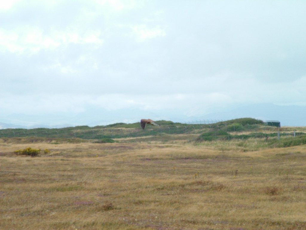 Click now to see this image full size.