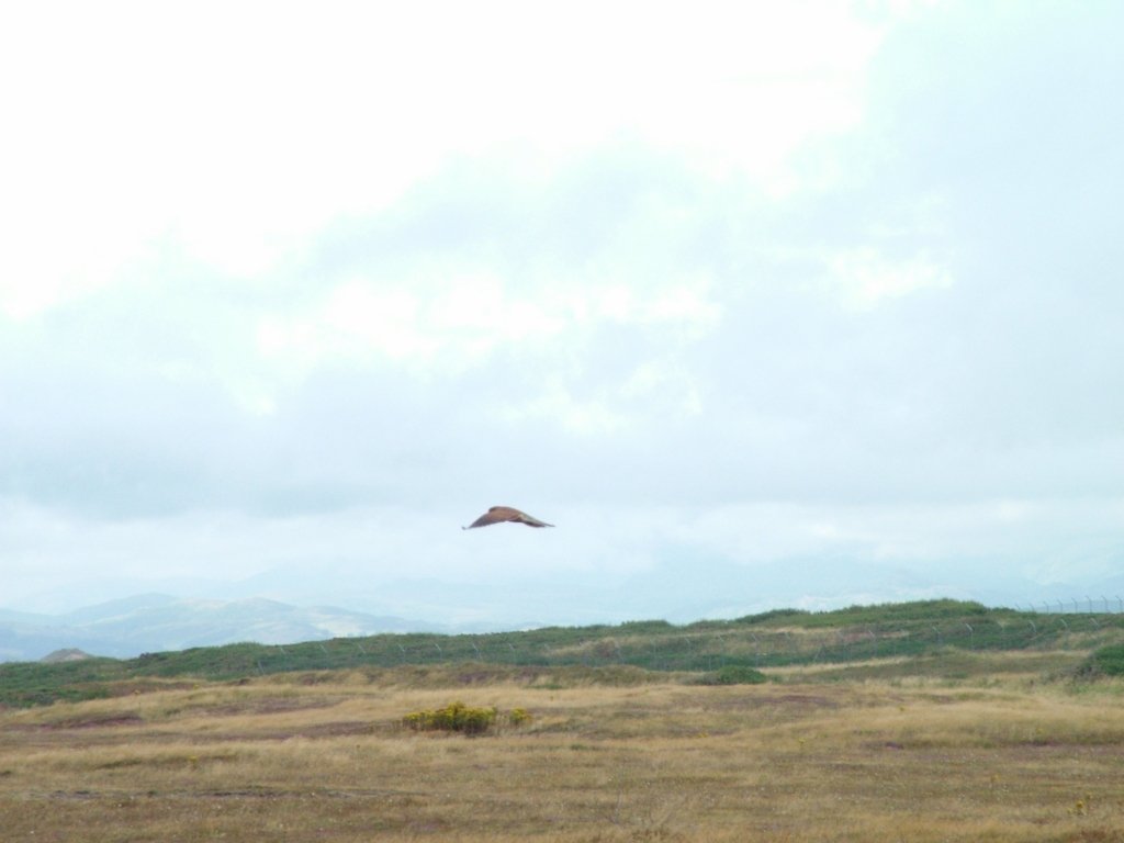 Click now to see this image full size.