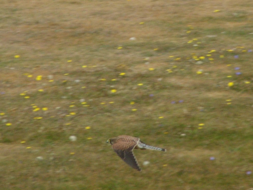 Click now to see this image full size.