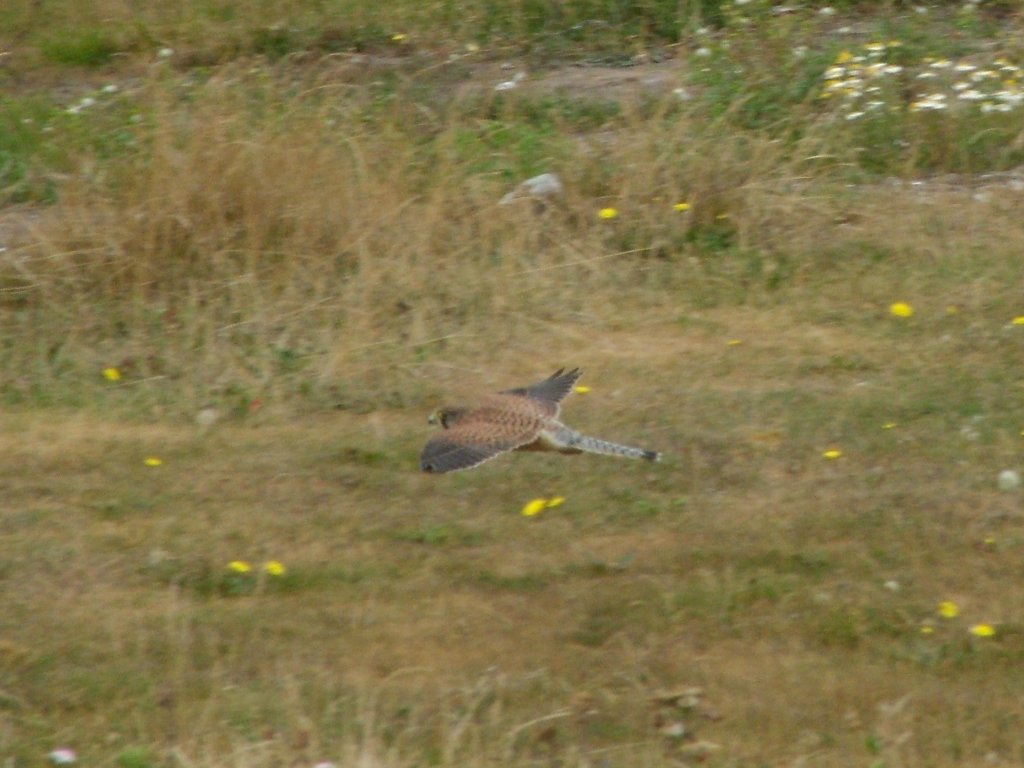 Click now to see this image full size.