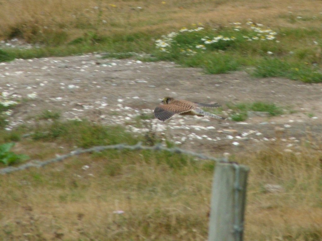 Click now to see this image full size.