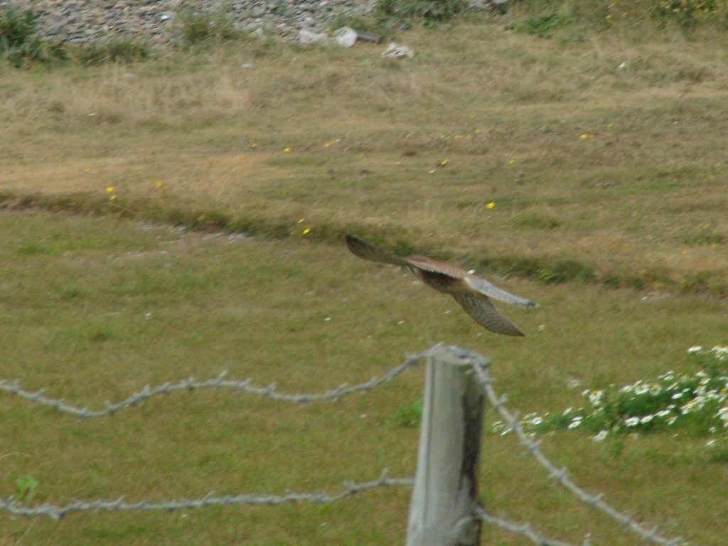 Click now to see this image full size.