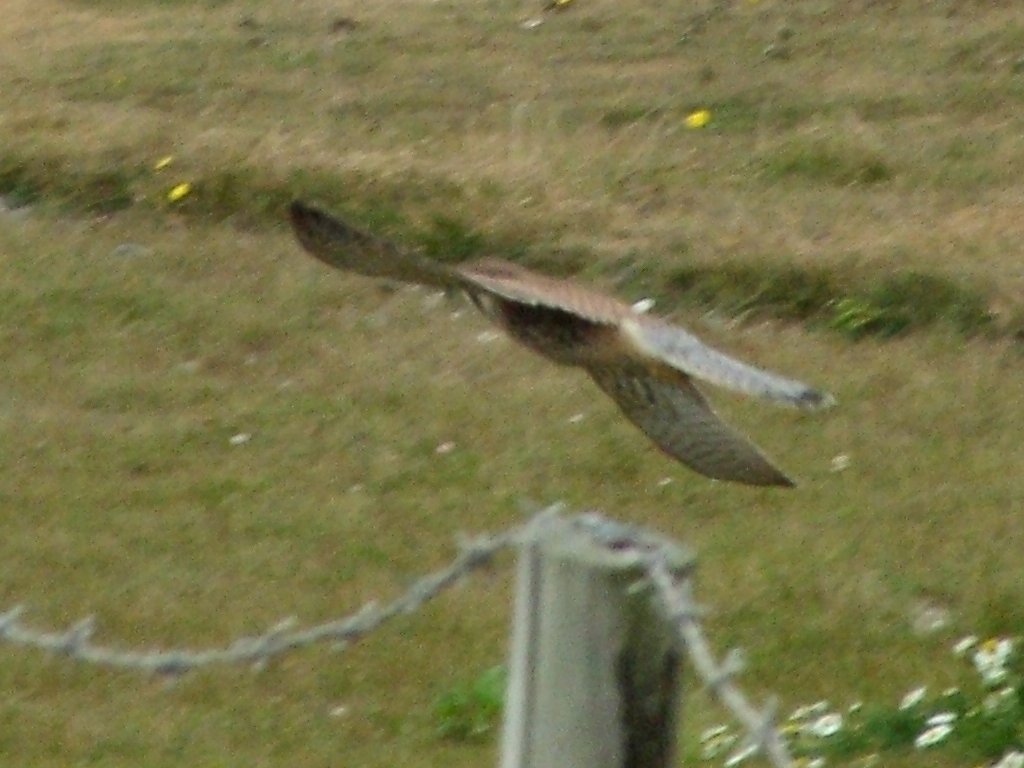 Click now to see this image full size.