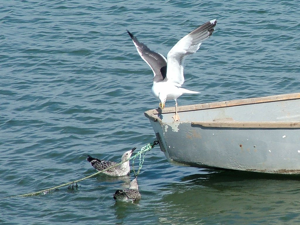 Click now to see this image full size.