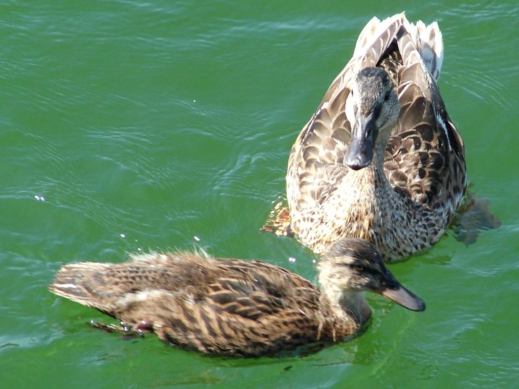 Click now to see this image full size.