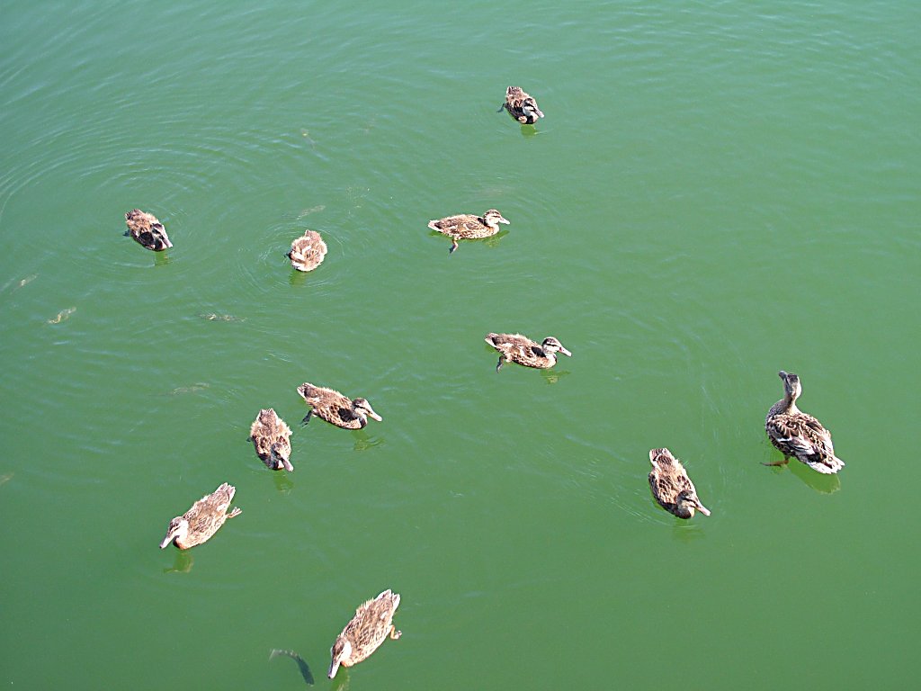 Click now to see this image full size.