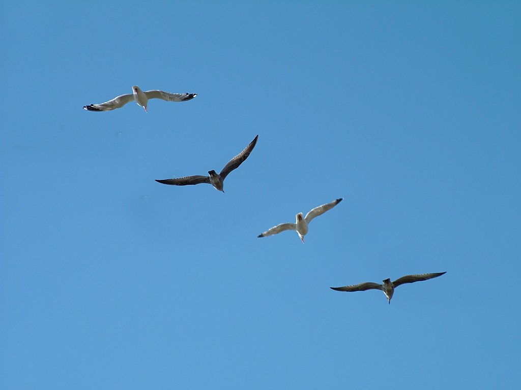 Click now to see this image full size.