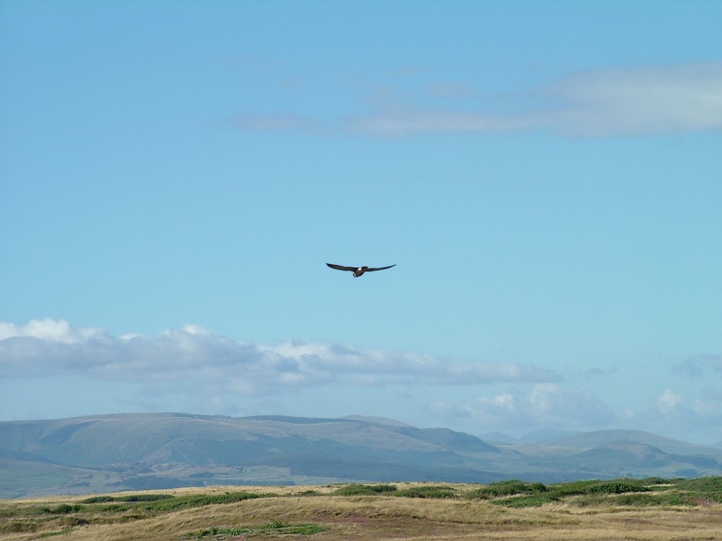 Click now to see this image full size.