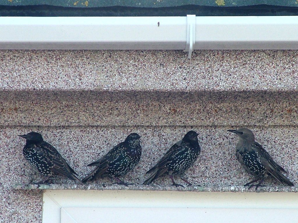 Click now to see this image full size.