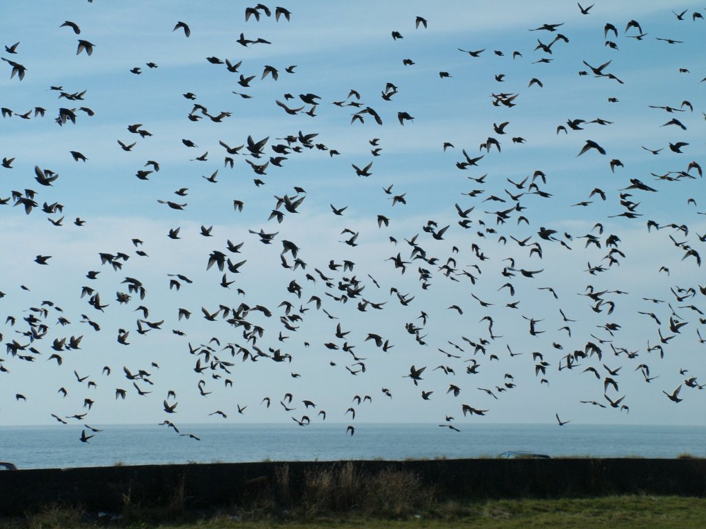 Click now to see this image full size.