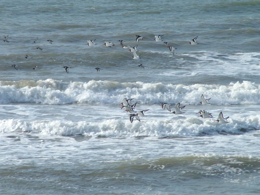 Click now to see this image full size.