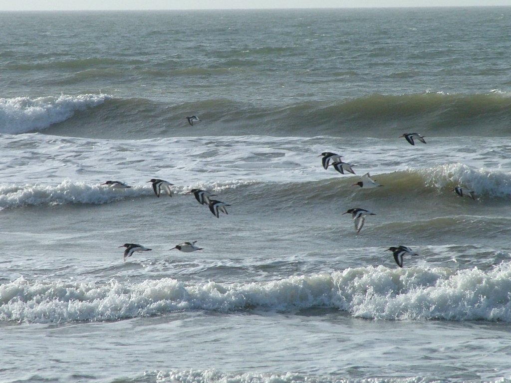 Click now to see this image full size.