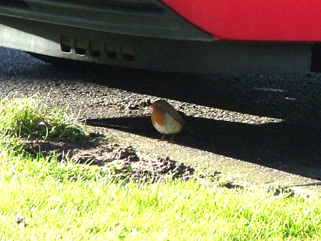 Click now to see this image full size.