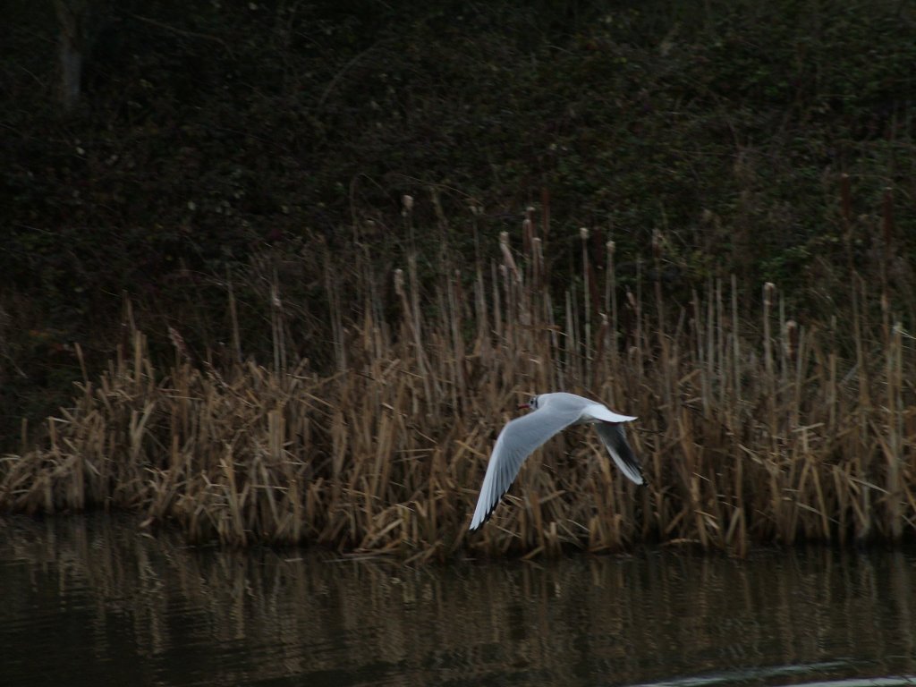 Click now to see this image full size.