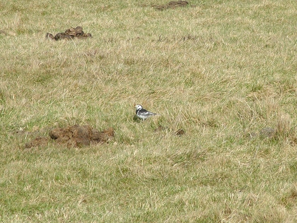 Click now to see this image full size.