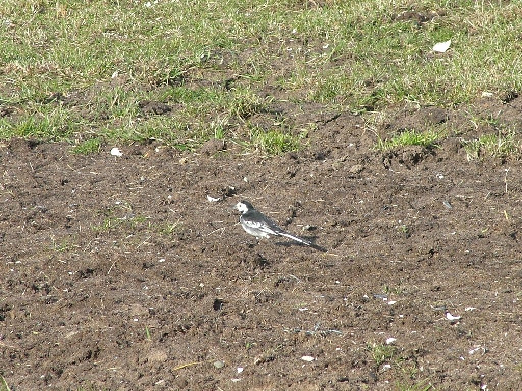 Click now to see this image full size.