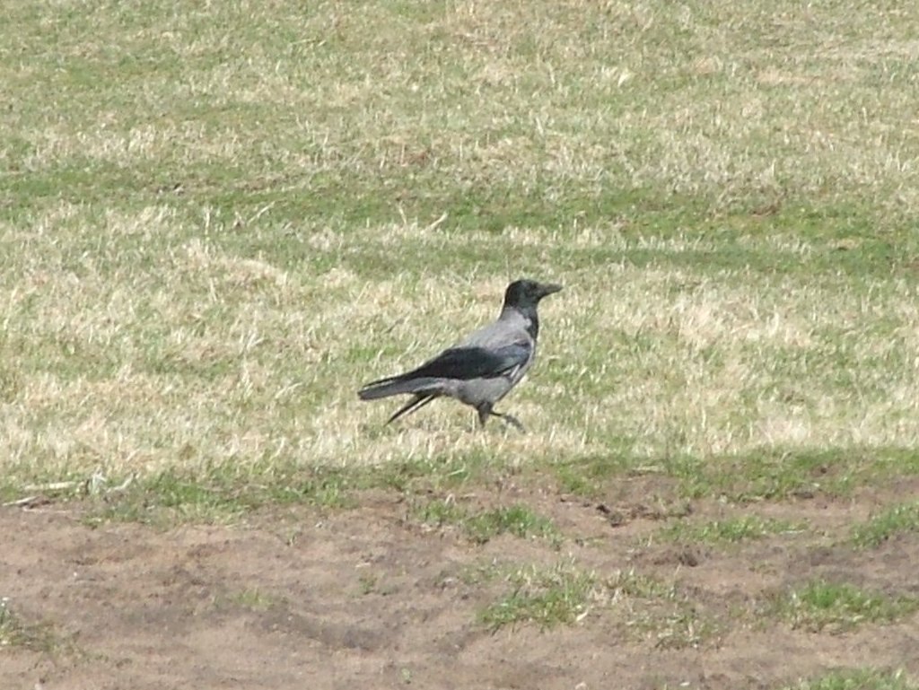 Click now to see this image full size.