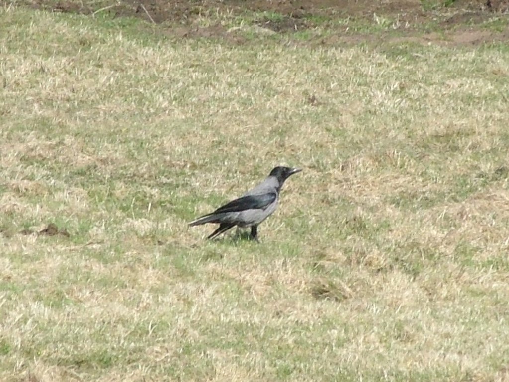 Click now to see this image full size.