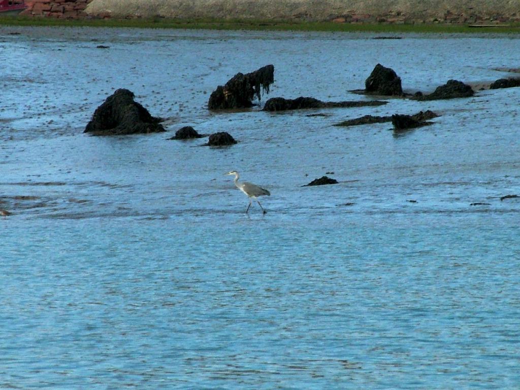 Click now to see this image full size.