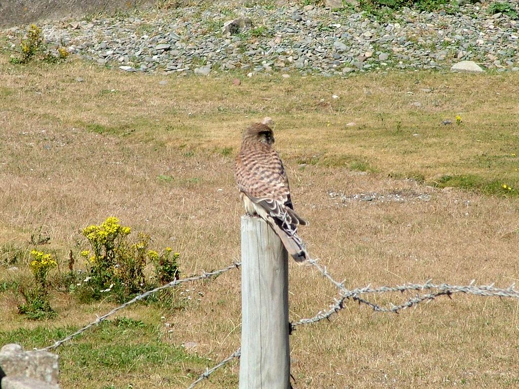 Click now to see this image full size.