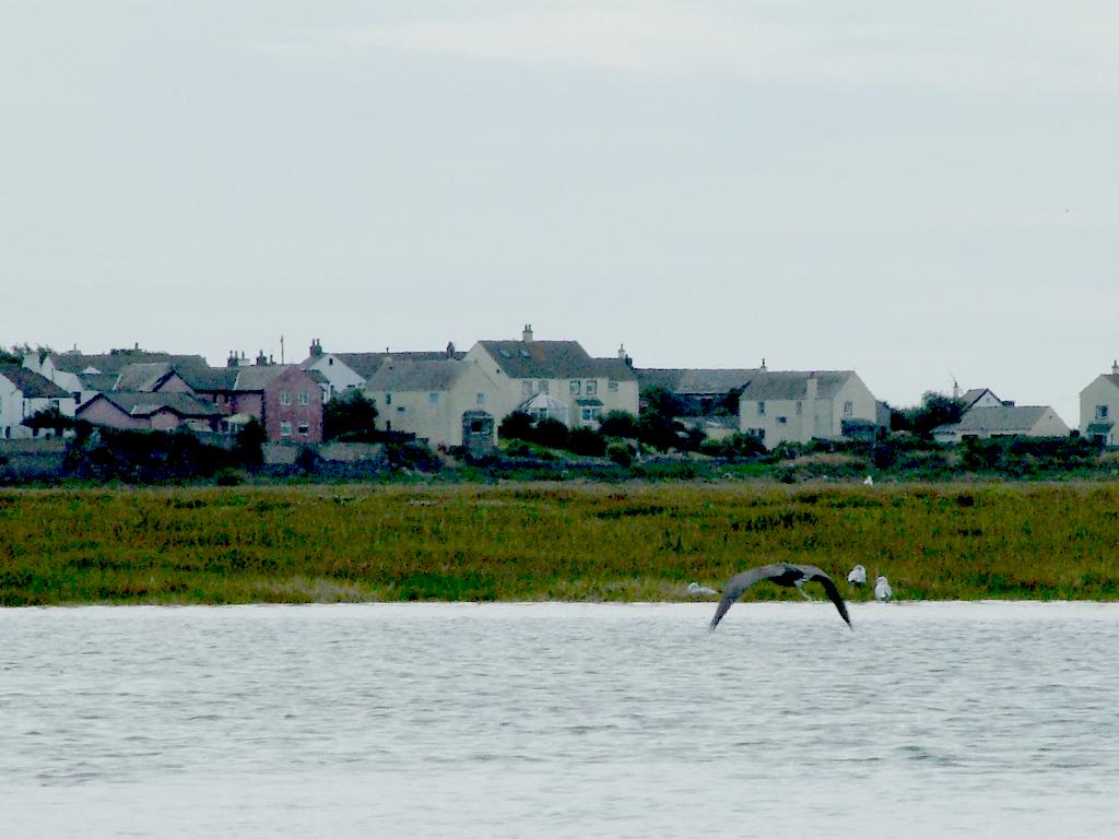 Click now to see this image full size.