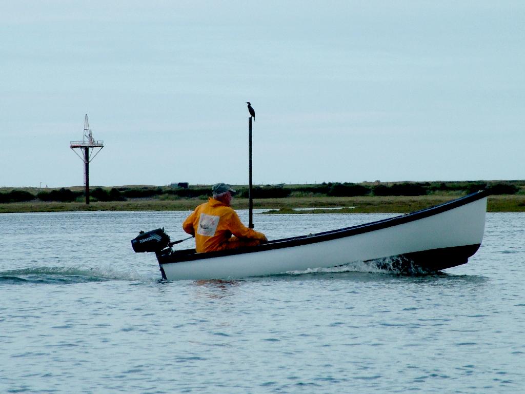 Click now to see this image full size.