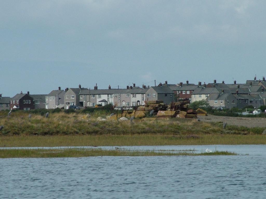 Click now to see this image full size.