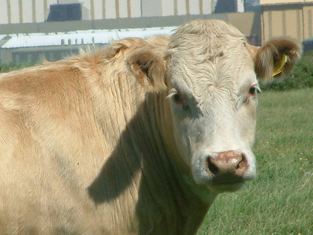 Click now to see this image full size.