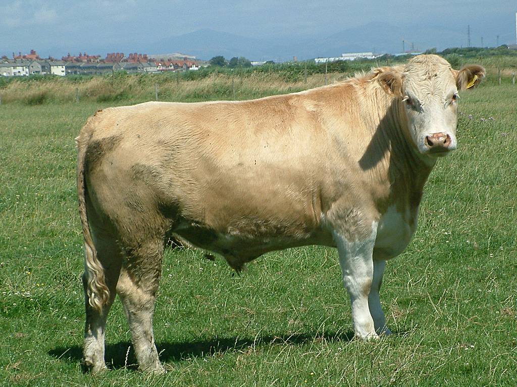 Click now to see this image full size.