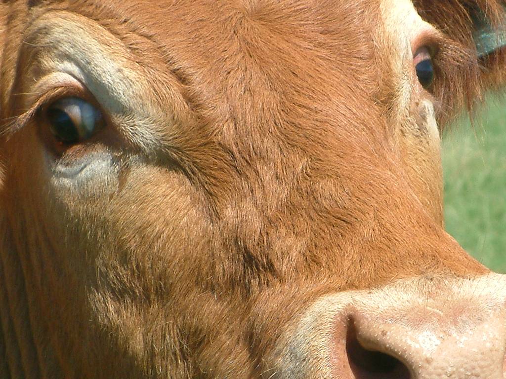 Click now to see this image full size.