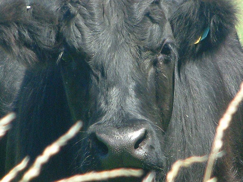 Click now to see this image full size.