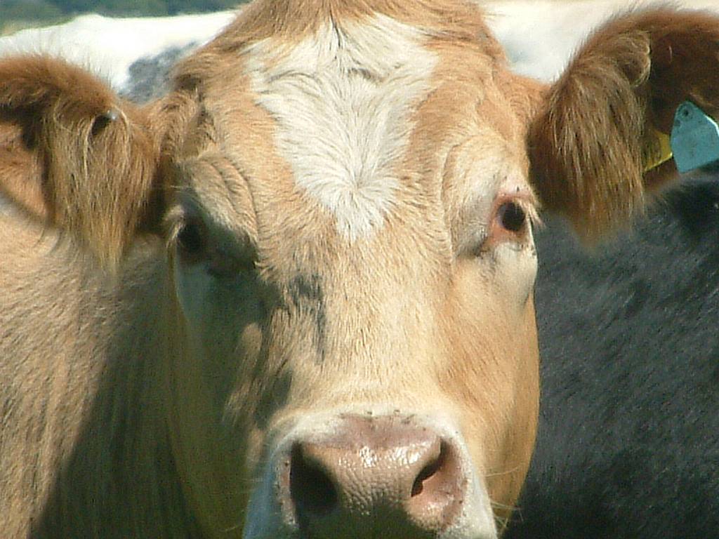 Click now to see this image full size.