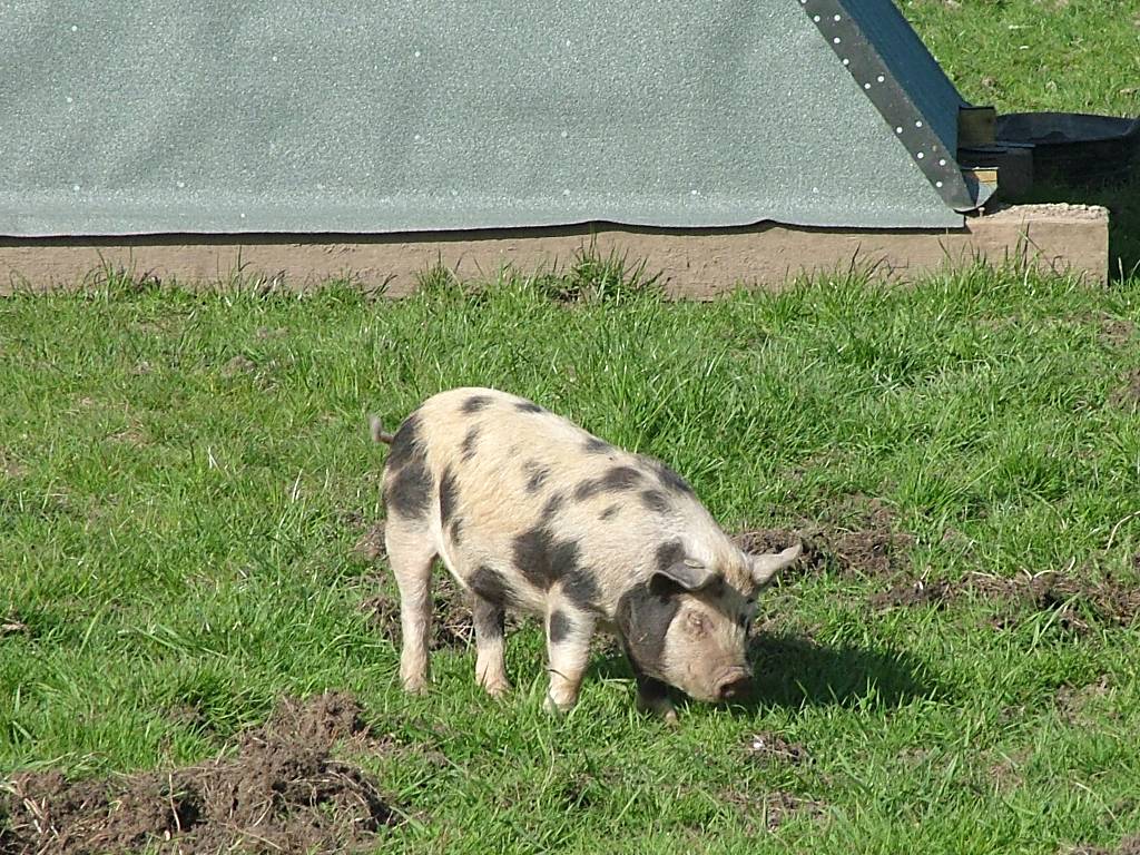 Click now to see this image full size.