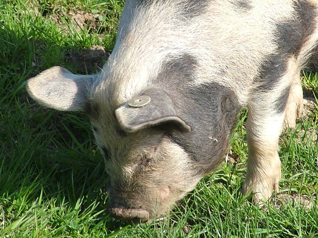 Click now to see this image full size.