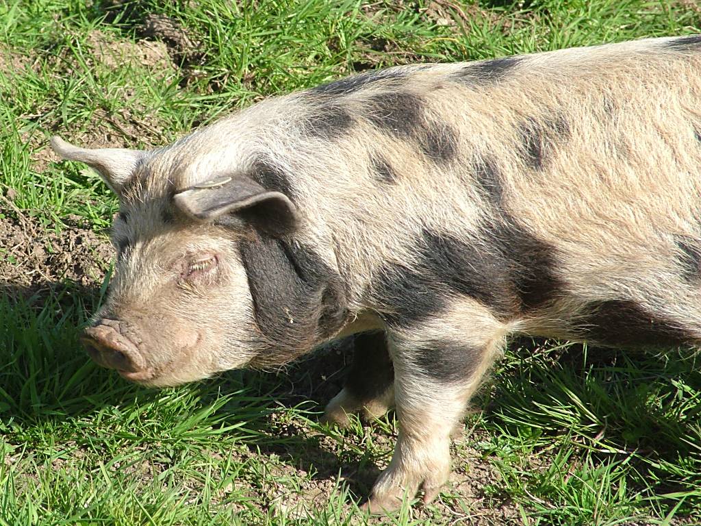 Click now to see this image full size.