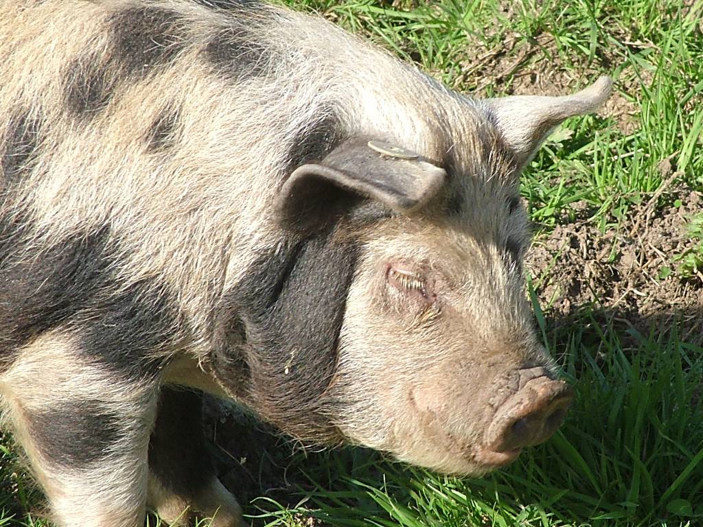 Click now to see this image full size.