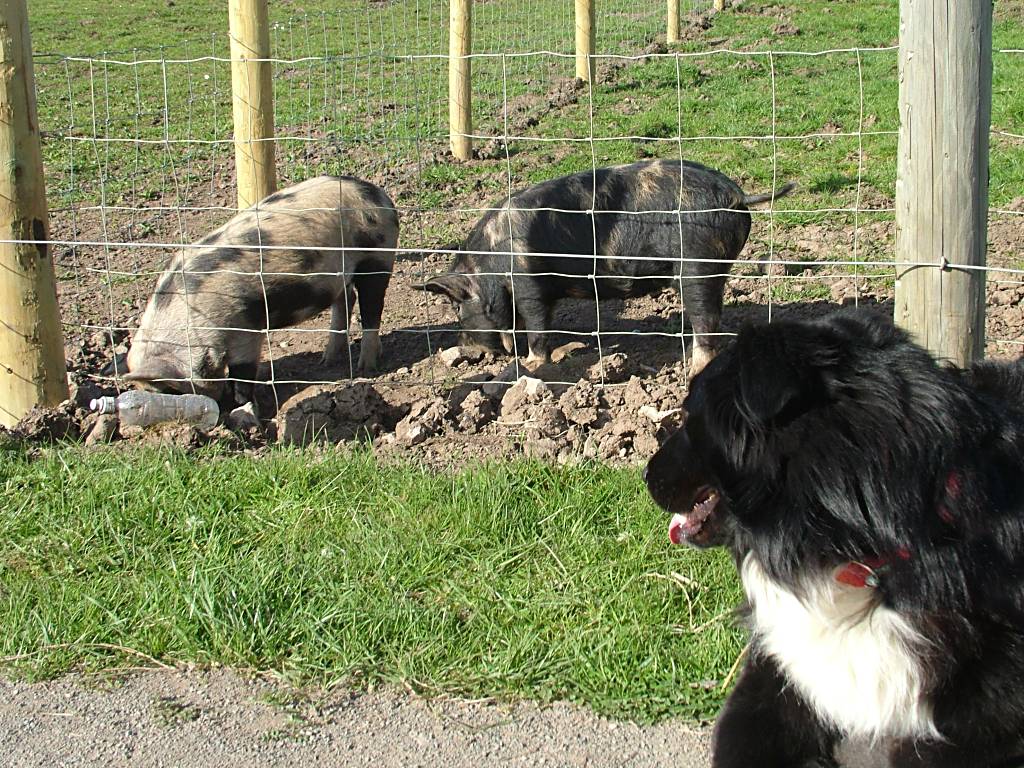 Click now to see this image full size.