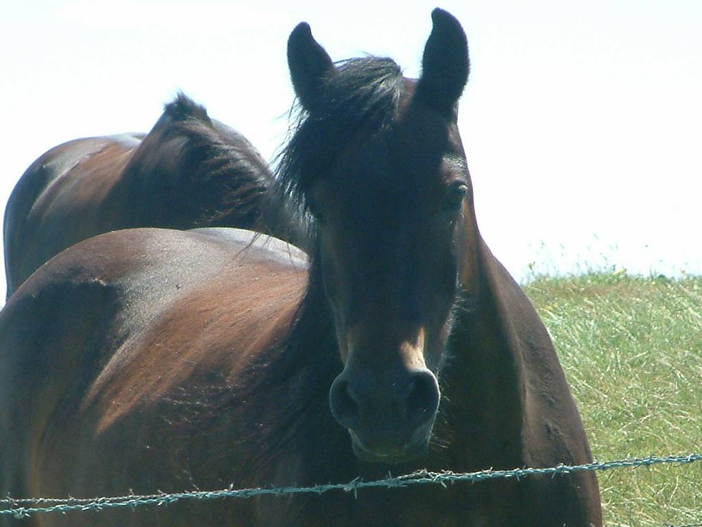 Click now to see this image full size.