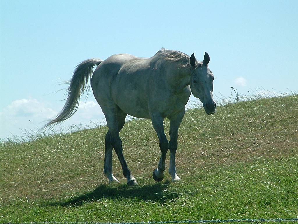 Click now to see this image full size.